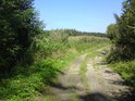 Příjezdová cesta k chráněnému území od obce Polešovice.