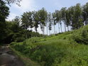 Lesní cesta pod chráněným územím Komínky.