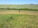 Pohled z Kozí horky na severovýchod. Cedule zezadu, řepkové pole, zarostlá strouha, pšeničné pole a alej u silnice Plumlov – Vícov.
