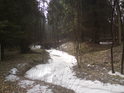Zamrzlý Zádolský potok v samé západní části chráněného území.