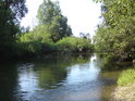 Řeka Morava poblíž Kurfürstova ramene.