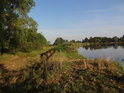 Jihozápadní břeh Štěneckého rybníka.
