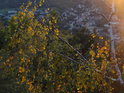 Večerní Tišnov shora pohledem přes podzimní břízku na Květnici.