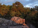 Borovice ve skalách na vrcholu Květnice večerním Sluncem zalité.