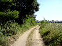 Polní cesta podél východního břehu Votoky.