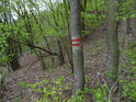 Hraniční značka chráněného území na stromě.
