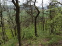 Přes zatím nenarostlé listy stromů je možné vidět na krajinu pod Lebeďákem.