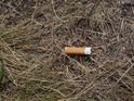 Vajgl od cigarety vypadá na uschlé trávě kolem vrcholu Velkého Medláneckého kopce vypadá tak trochu děsivě.