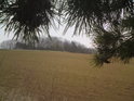 Pohled z pod nedaleké borovice od Hněvotína na chráněné území.