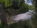 Řeka Svratka v Nedvědici pod chráněným územím.