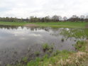 Severní břeh rybníka Návesník je řádně zamokřený.
