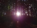 Kouzelné Slunce v bukovém lese, zvaném Nazaret.