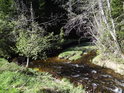Slatinný potok se svoji slatinnou barvou.