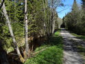 Slatinný potok v souběhu s lesní cestou.