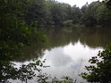 Malý rybník v Pavlově je také součástí chráněného území.