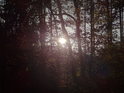 Kouzlo podzimního Slunce v Pekle.