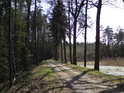 Hráz rybníka Pětinoha na jihu přechází v lesní cestu, která dále míří mimo jiné i k zabité ženě.

