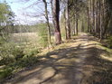 Lesní cesta od jihu k rybníku Pětinoha.
