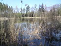Pohled od západu na rybník Pětinoha.

