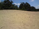 A můžeme ztéci dunu, snadné to však není, písek ujíždí pod nohama.
