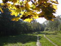 Podzimní pohled na cestu podél Poděbrad.
