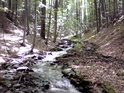 Horský potok má vcelku velký spád, ale přesto tvoří kamennou nivu.
