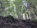 I v prudkých kopcích a skalách mohou být lesy smíšené.
