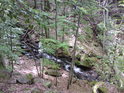 Horský potok se klikatí a o velkých vodách výrazně manipuluje s kameny.
