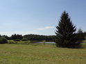 Vedle Býkovického rybníka jsou pastviny.