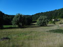 Krásné údolí s pastvinou a chalupou.
