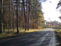 Silnice Rokytno – Býšť tvoří západní hranici rezervace.