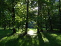 Ranní Slunce si nachází cestu mezi stromy v parku Střelnice.
