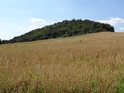 Pohled na kopec Hradiště u Habří, kde se nachází chráněné území Rač, ze strany západní.