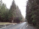 Silnice kolem chráněného území mezi městem Jeseník a obcí Revíz se začíná zbavovat zimních barev.