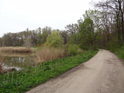 Cesta podél rybníka Rendezvous.