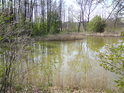 Za chovným rybníkem je v pozadí vidět Roudnička.
