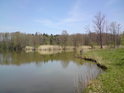 Jižní břeh rybníka Datlík.