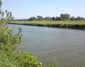Řeka Morava v sousedství chráněného území Skařiny je regulovaná, zde také můžeme hledat původ slepého ramene.

