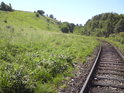Pohled na rezervaci ze severní strany od trati. Cedule označují, kde začíná ochrana.