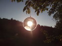 Jeden by neřekl, že v chráněném území Švařec rostou na stromech CD disky. Však v sepětí s podzimními slunečními paprsky to tvoří okouzlující scenérii.