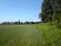 Pšeničné pole mezi obcí Lochenice a chráněným územím Trotina.
