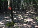 Vnější hraniční značka pro chráněné území na dubu ve svahu.