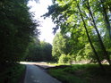 Lesní silnice tvoří severní hranici chráněného území U Vrby.
