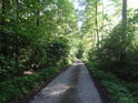 Asfaltová lesní cesta směrem na Lovčice tvoří západní hranici chráněného území U Vrby.
