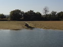 Původní tok potoka zůstává i ve vypuštěném rybníce.
