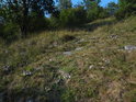 Kamenitý terén výše nad Říčkou.