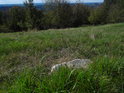 Osamělý kámen na rozhraní suší a čerstvější trávy.