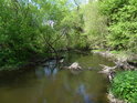 Odlehčovací stružka z rybníka Velká Kamenice odevzdává své skromné vody řece Chrudimce.