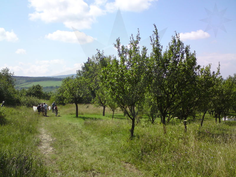 velka-nad-velickou-06.jpg