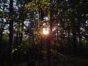 Ranní Slunce již prosvětlilo mladé bukové listy na vrcholu Kameňák.